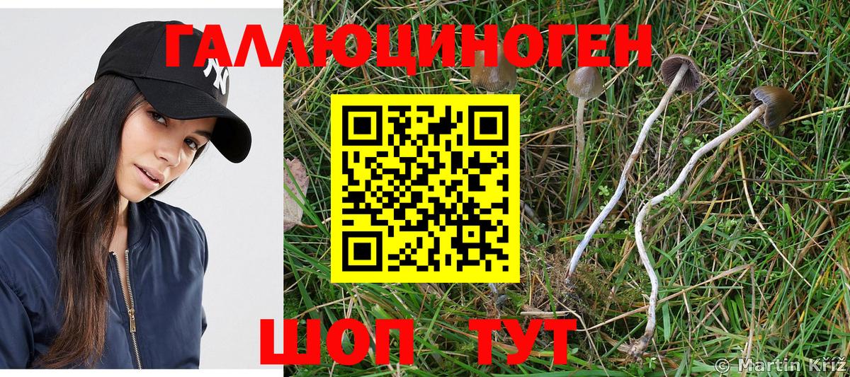 Галлюциногенные грибы ЛСД  Вход с VPN  Кимовск  Галлюциногенные грибы мухоморы 