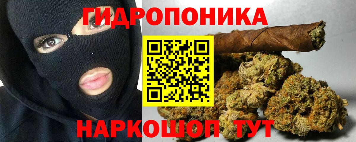 Кимовск  Конопля Bruce Banner  Бошки Шишки планчик  Вход с VPN 